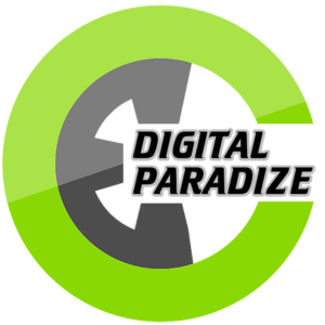 Digital Marketing Course in Delhi - Digital Paradize logo